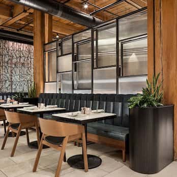 Umbra Minneapolis