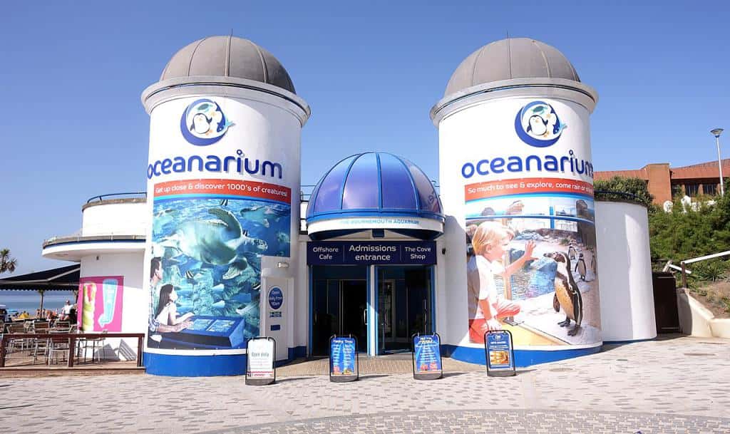 Oceanarium Bournemouth