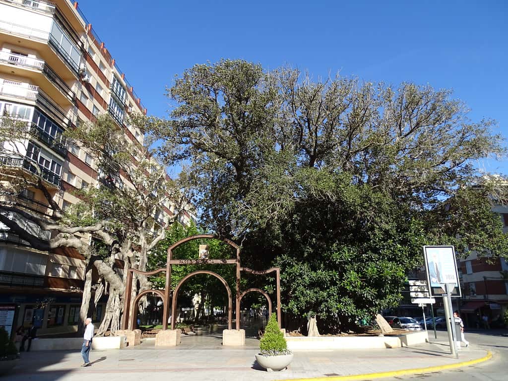 XLIII Carrera urbana - XV Caminata de la Esperanza