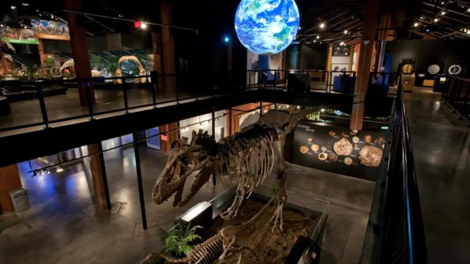 Second Saturday: Marvelous Manatees