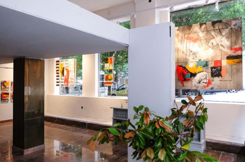 Visitas guiadas por Palo Pez a la exposición Entre las ramas