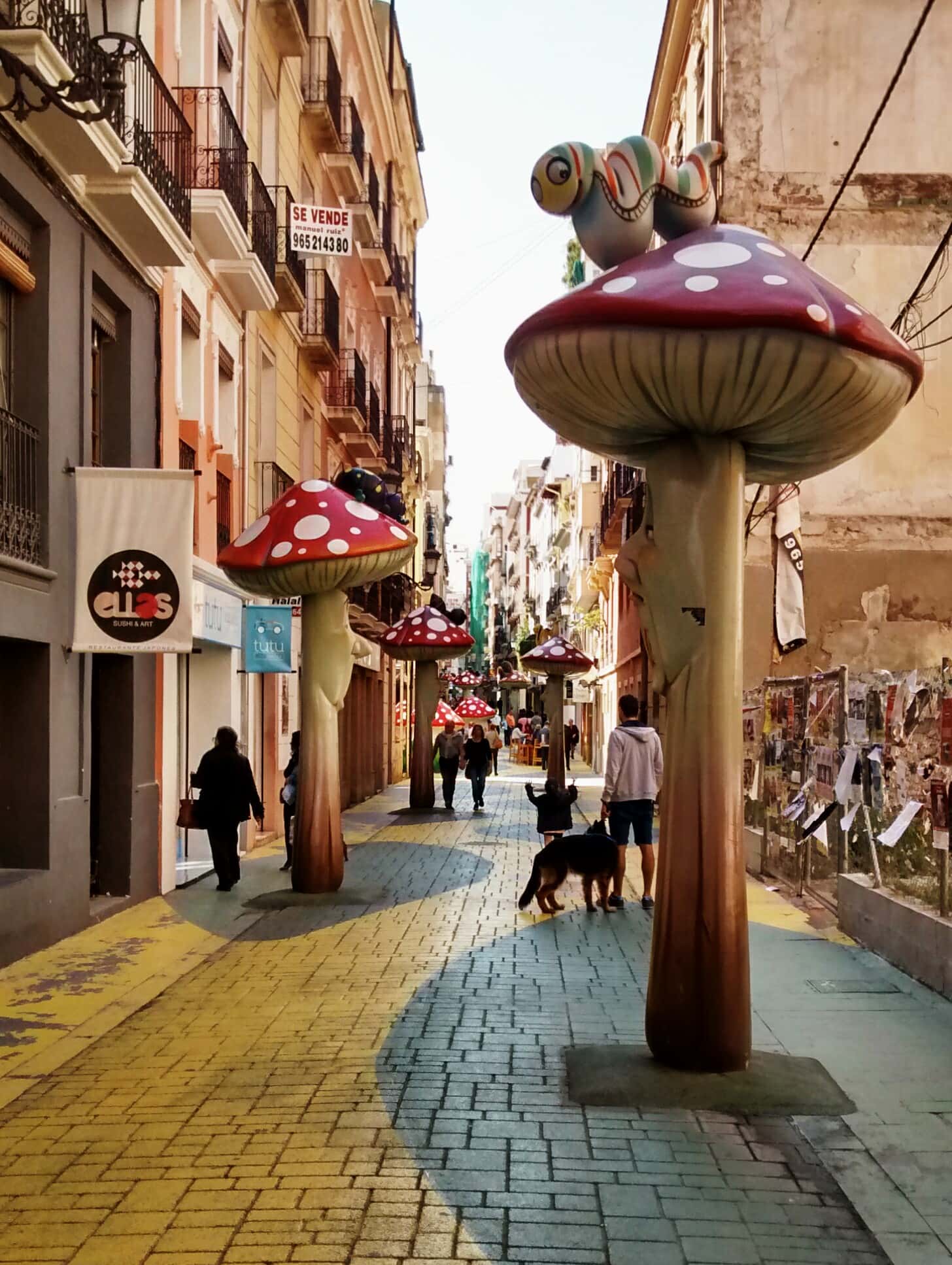 XVIII edición de Botigues al Carrer