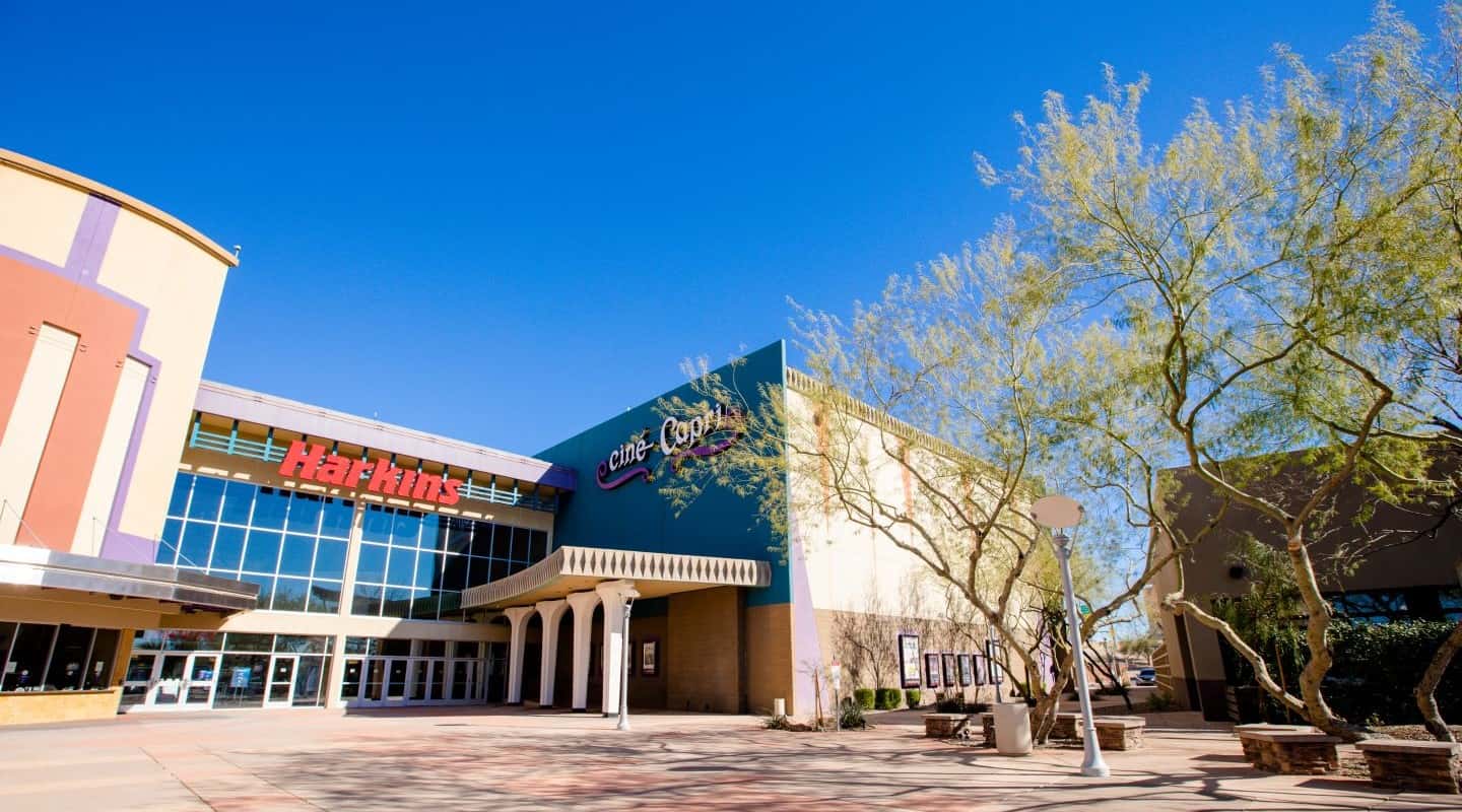 Scottsdale 101