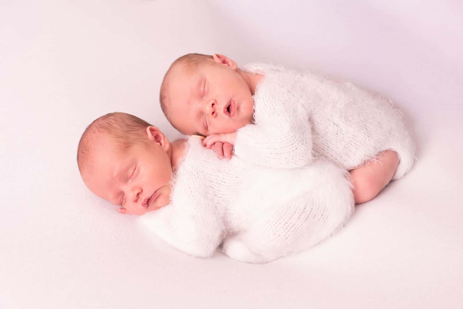 Christmas Mini Photoshoot with Print