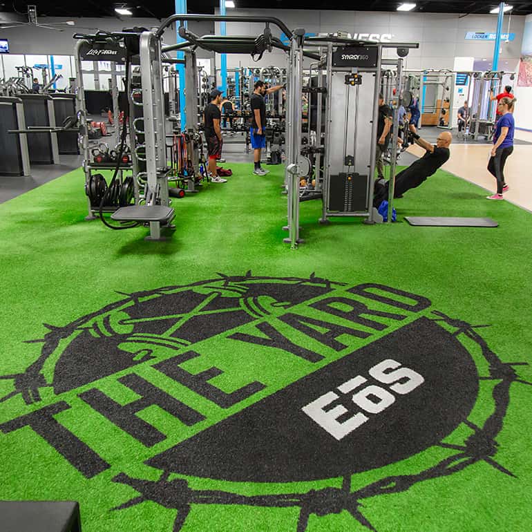 The Yard Gym