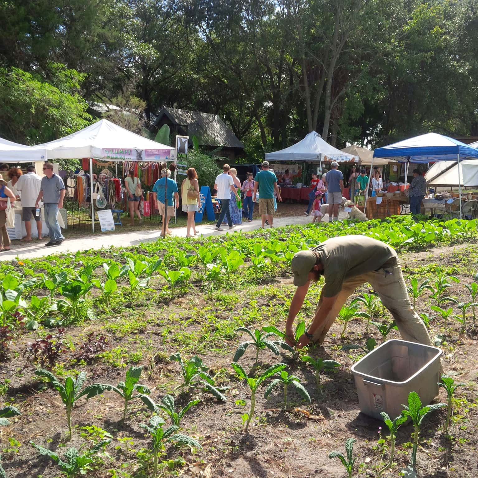 Sweetwater Organic Community Farm