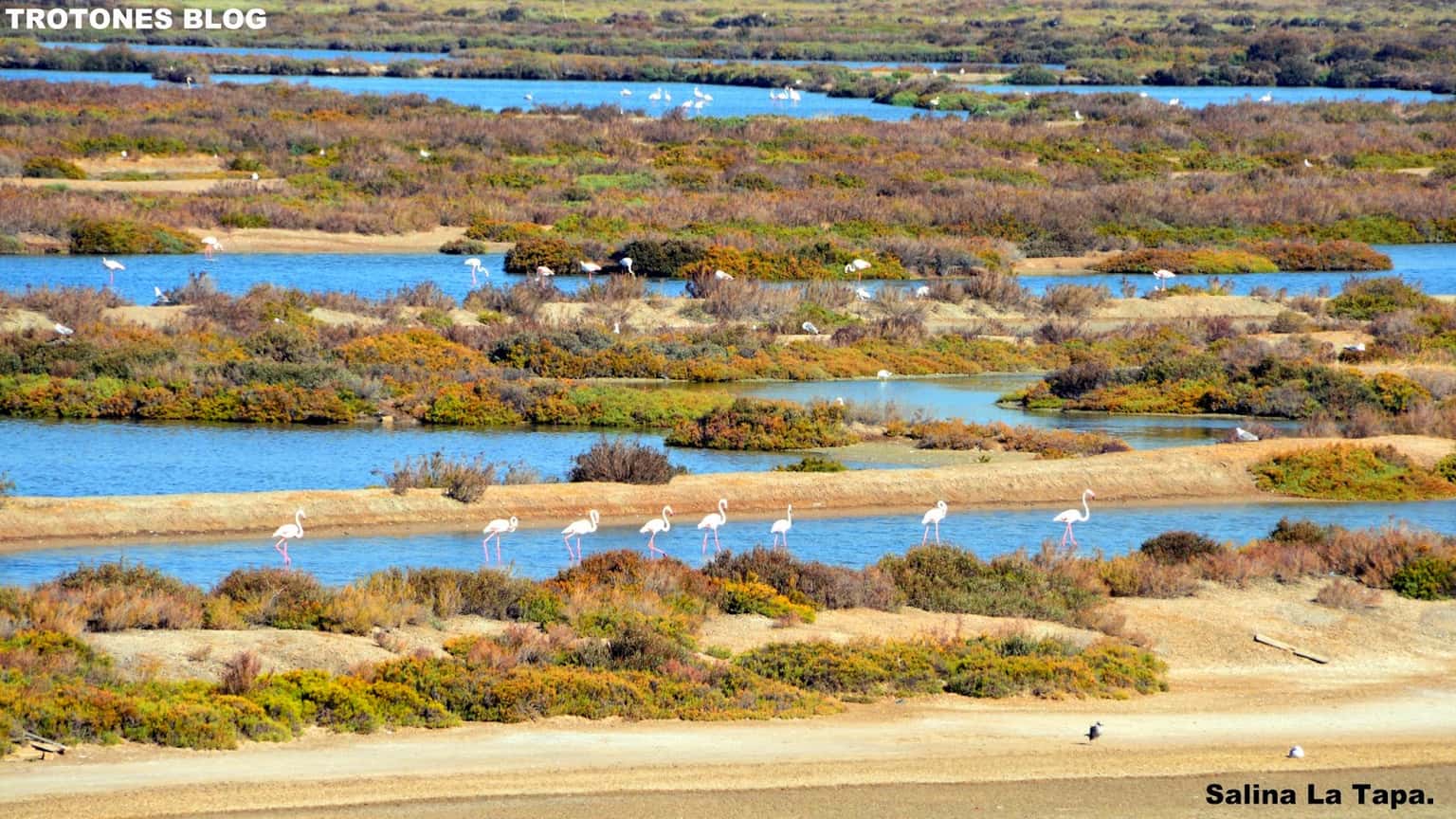 Salina de la Tapa