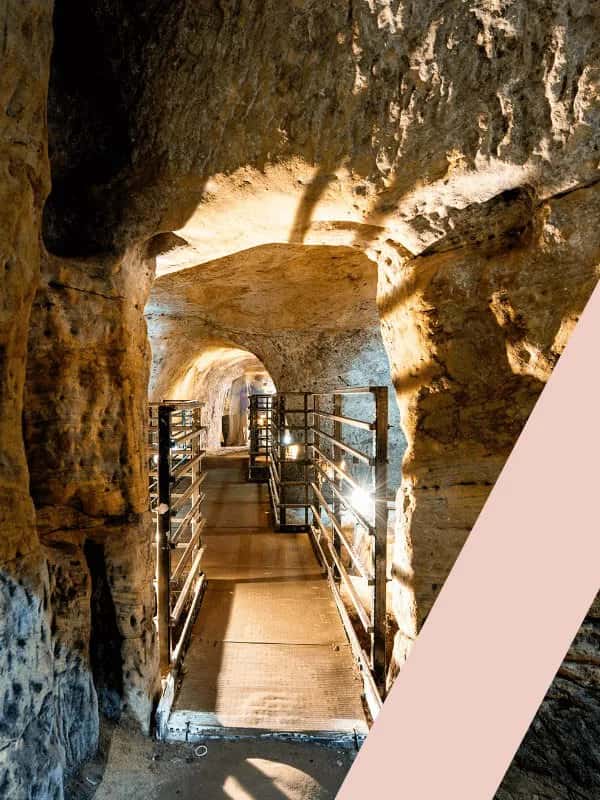 Kids' Ghost Hunter Tours