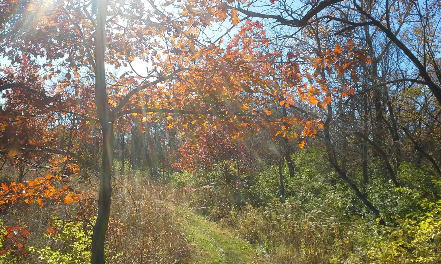 Skiles Test Nature Park