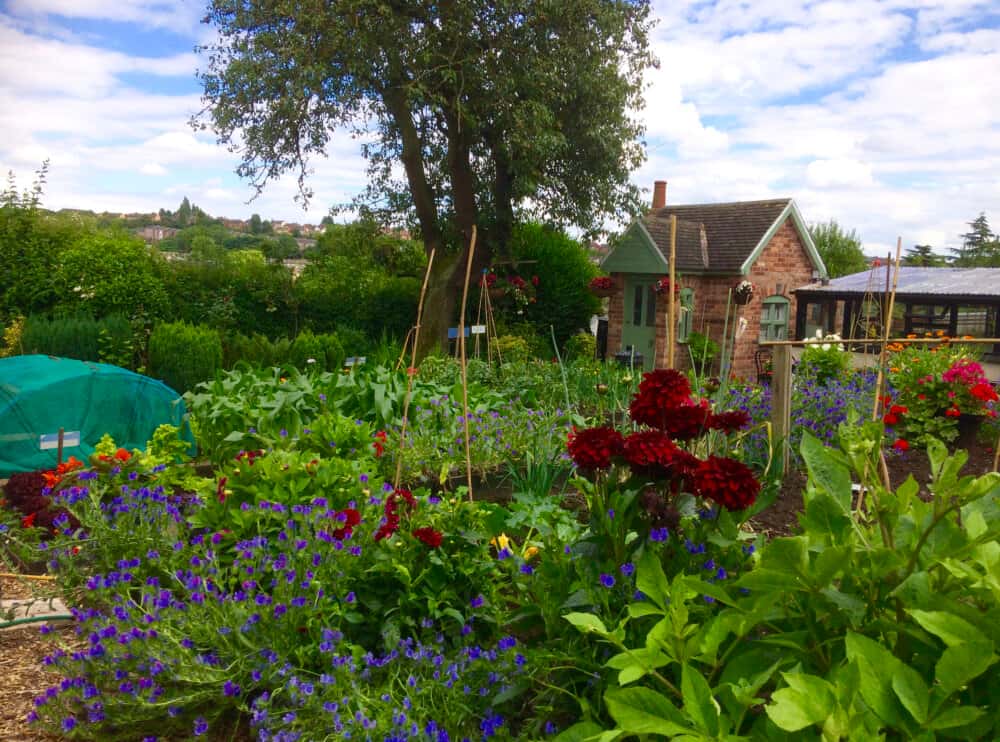 St Ann's Allotments