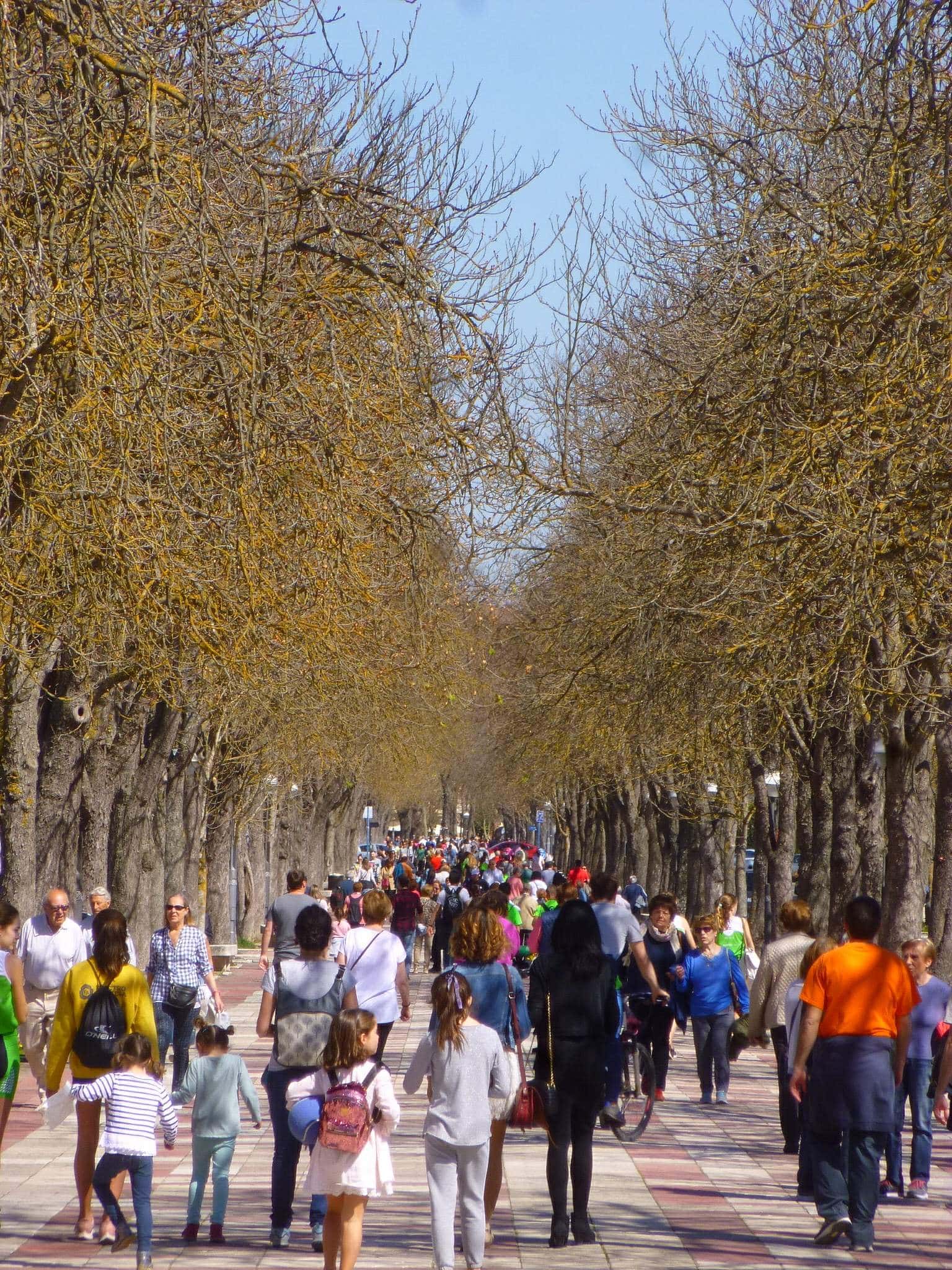 Paseo de Cervantes