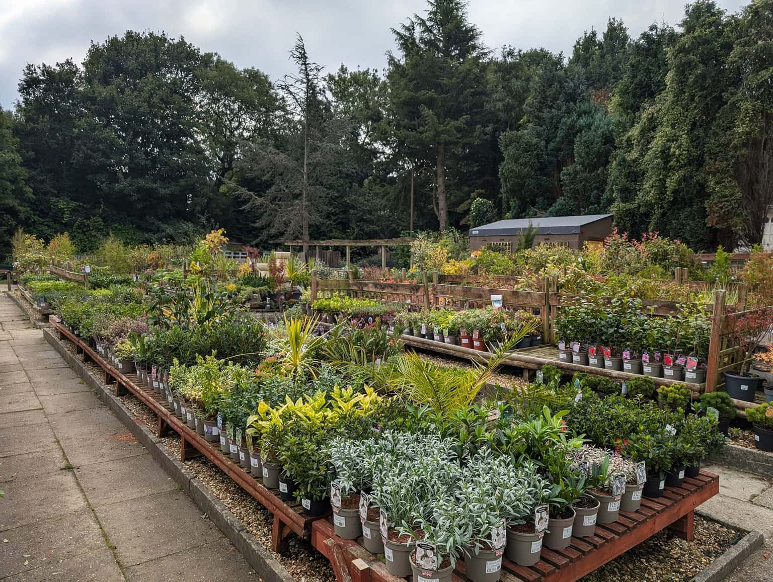 Birley Moor Garden Centre