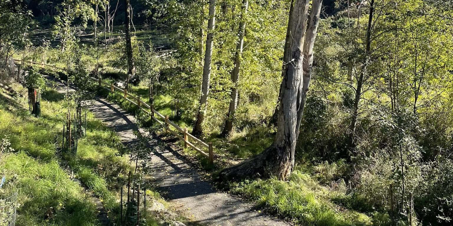 Land Tending with Crystal Springs Partnership