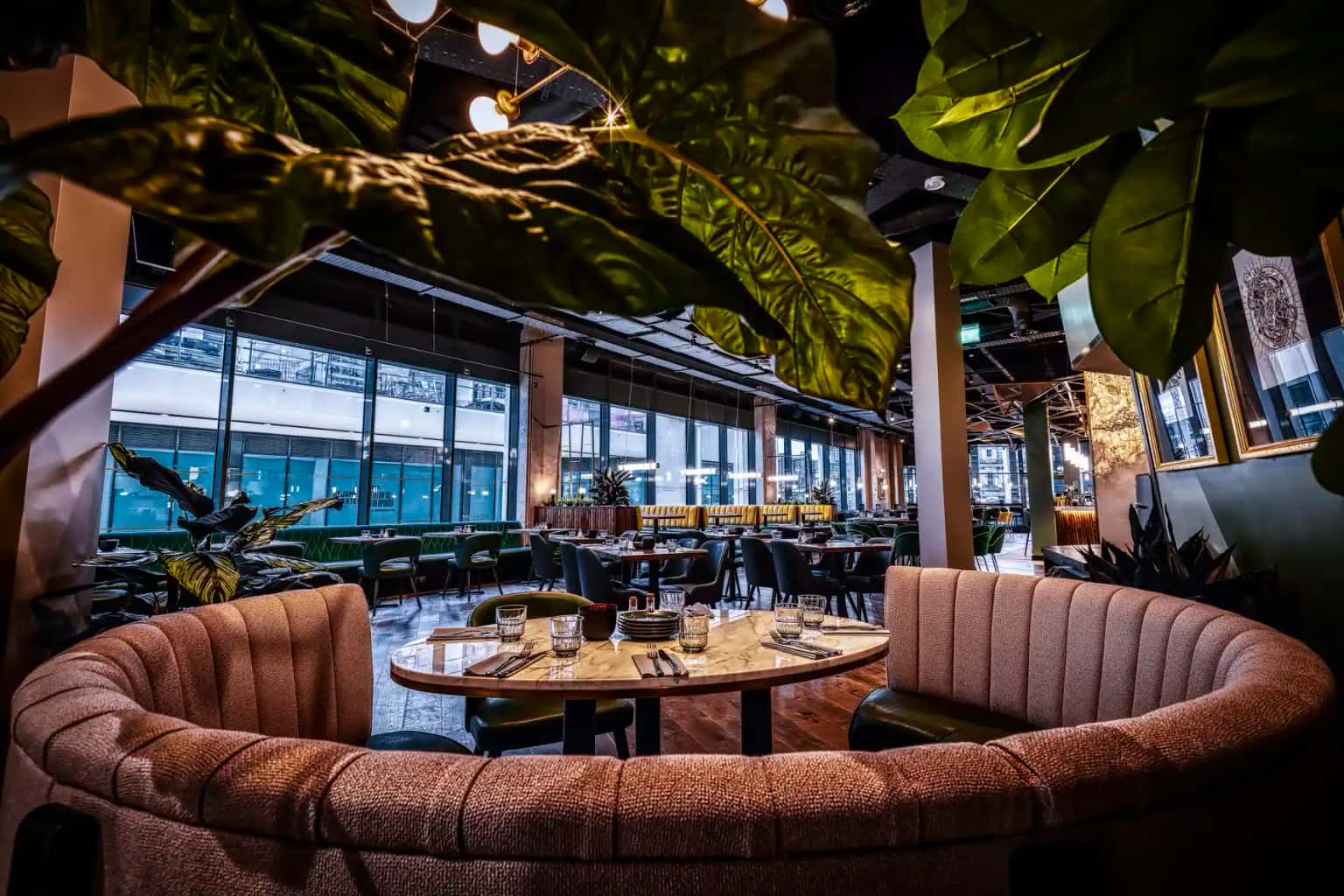 The Alchemist George Street