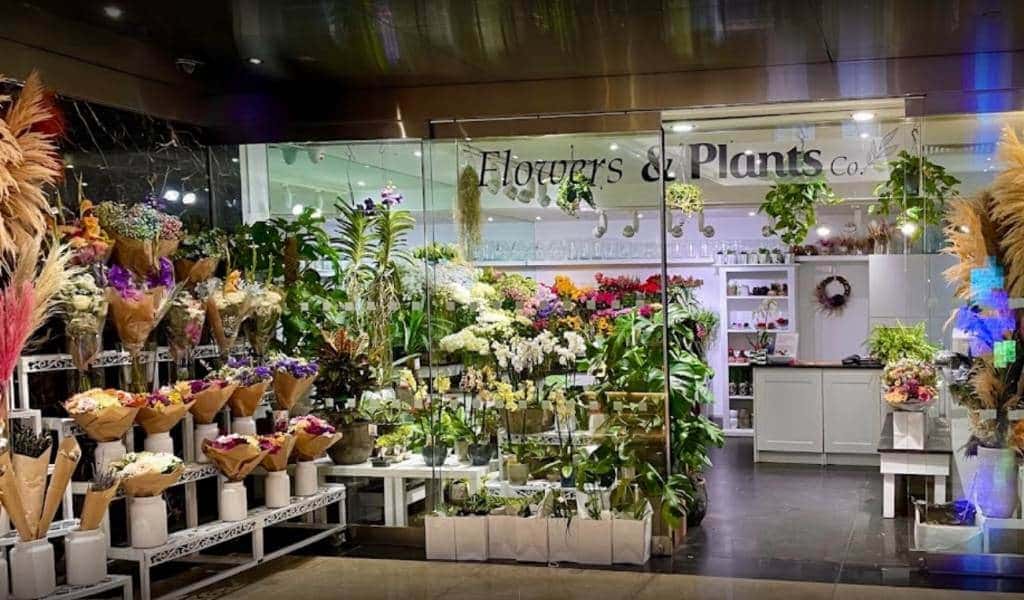 Flowers & Plants Co