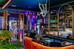 Interior de un bar moderno en la Ruta de los Vinos con iluminación de neón y decoración tropical