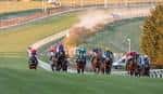Carrera de caballos en la pista del hipódromo de Brighton