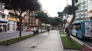 Vista de la Avenida Mesa y López con árboles, acera amplia y autobús azul