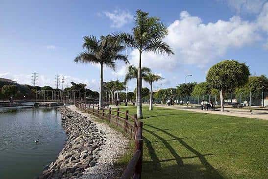Paseo junto al lago con palmeras y césped en el Parque Juan Pablo II