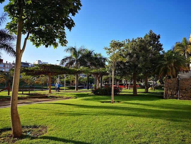 Área arbolada del parque con césped y palmeras bajo cielo despejado