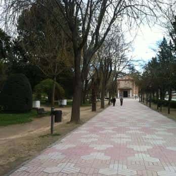 Paseo arbolado en el Parque de San Roque con sendero pavimentado