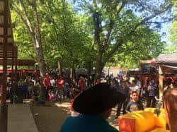Pasillos entre puestos y árboles donde se encuentran los visitantes