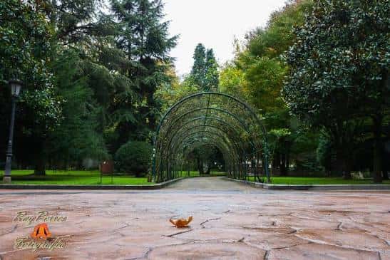 Arco de enredaderas en el Paseo de la Rosaleda