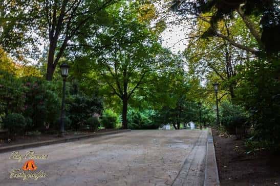 Paseo arbolado con farolas y sendero empedrado