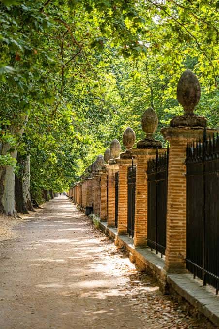 Paseo arbolado con valla de ladrillo y postes decorativos bajo luz natural