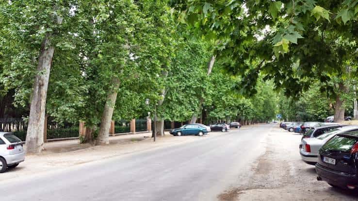 Calle arbolada con coches aparcados a los lados en un día soleado
