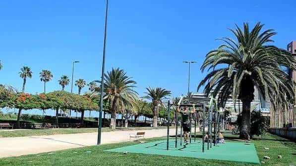 Zona de ejercicio al aire libre con palmeras y cielo despejado