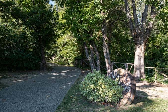 Camino pavimentado entre árboles con decoración natural en el parque