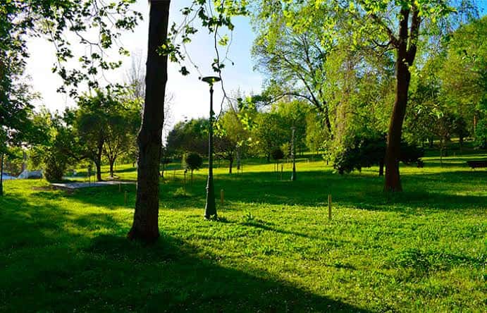 Área verde del parque con árboles frondosos y senderos iluminados por el sol