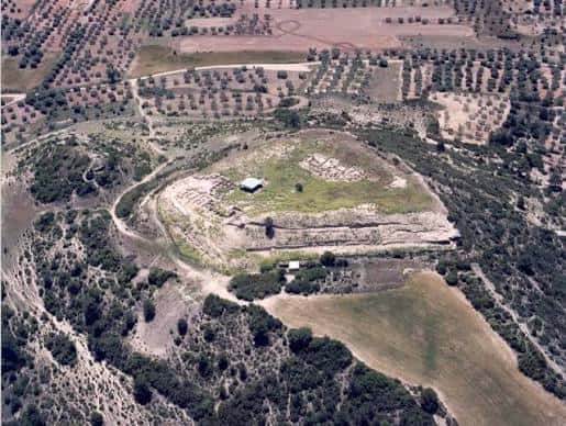 Vista aérea del yacimiento arqueológico de la Fuente de la Mota rodeado de vegetación
