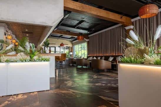 Interior moderno del bar NAYA con plantas y mobiliario acogedor