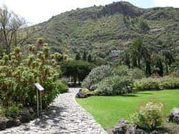 Sendero de piedra serpenteando entre vegetación exuberante y césped verde