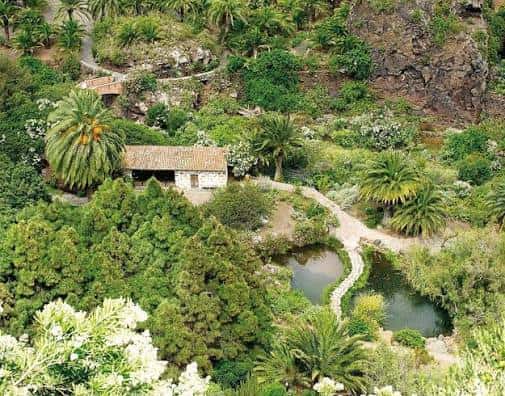 Vista aérea del jardín con palmeras, estanque y edificación tradicional