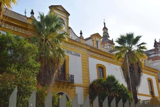 Fachada exterior amarilla con palmeras y detalles arquitectónicos del edificio