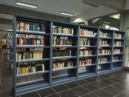 Interior de la biblioteca con estanterías organizadas y ambiente tranquilo para lectura