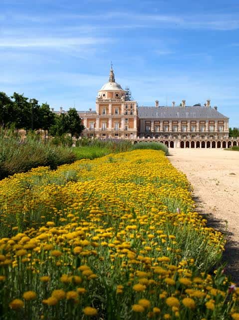 Palacio Real de Aranjuez rodeado de flores amarillas bajo un cielo azul