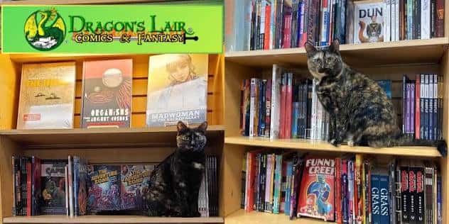 Gatos en las estanterías de libros junto al letrero de Dragon's Lair