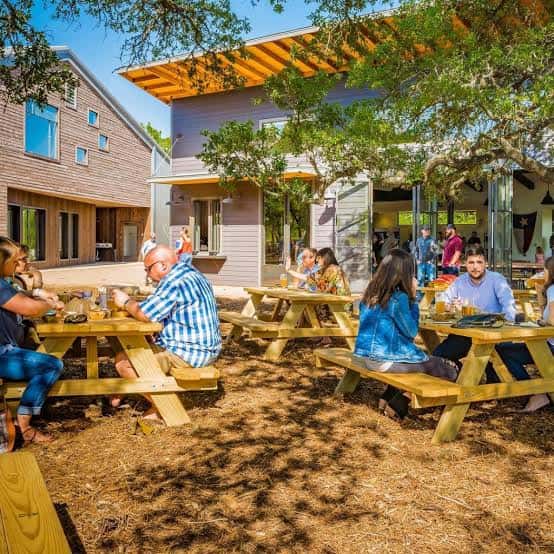 Área al aire libre con mesas de picnic bajo árboles y gente disfrutando