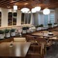 Interior del Wild Hare Bar Garden con mesas y sillas de mimbre