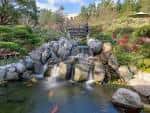 Paisaje sereno del jardín con cascada y puente tradicional