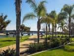 Vista del parque NTC con palmeras y sendero junto al agua