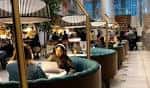 Área de lounge con asientos circulares y ambiente acogedor