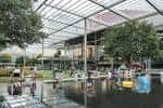 Área cubierta con estructura metálica y fuente en el centro del parque