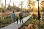 Familia paseando por un sendero elevado entre vegetación alta al atardecer