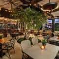 Interior acogedor de Caffvino con mesas y plantas decorativas