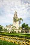 Torre del Museo de Arte con jardines floridos en primer plano